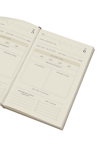 The Future Self Lifestyle Journal